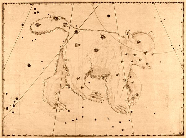 Grabado de la constelación de la Osa Mayor (atlas estelar Uranometria, 1603)