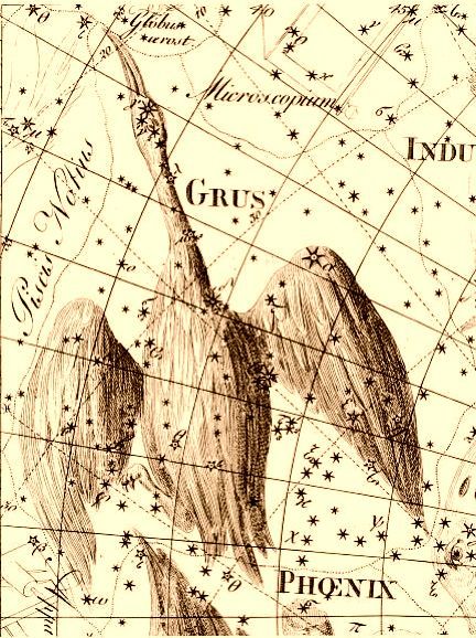 Lámina antigua de la constelación de la Grulla