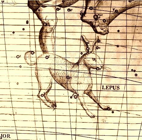 Lámina antigua de la constelación de la Liebre