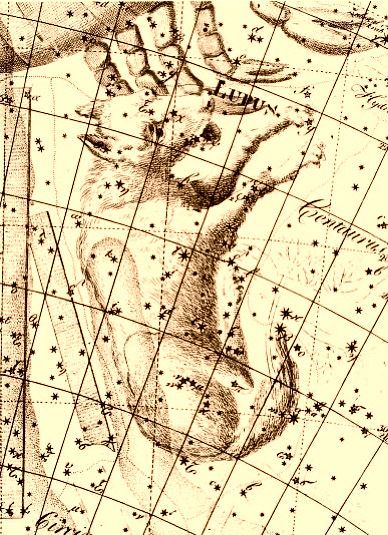 Lámina antigua de la constelación del Lobo