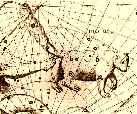 Lámina antigua de la constelación de la Osa Menor