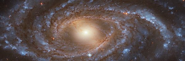 Galaxias