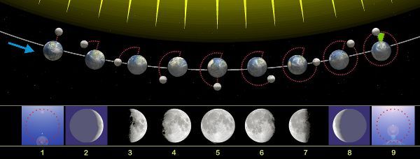 Las fases de la Luna