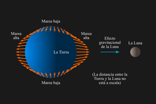 Esquema de la fuerza de marea