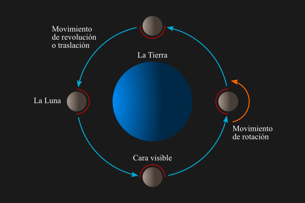 Esquema de los movimientos de la Luna